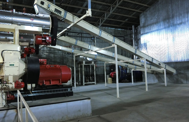 Feeding conveyors