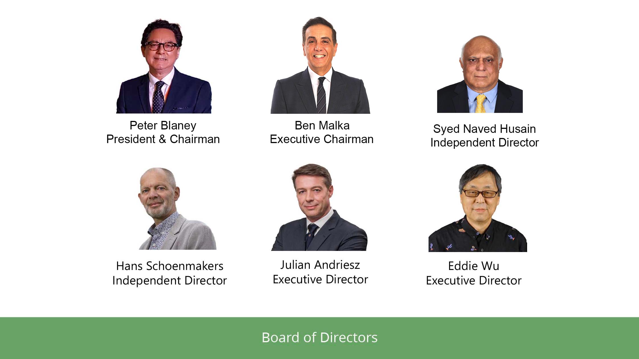 Board of directors 4